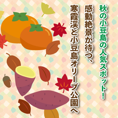 秋の小豆島の人気スポット！ / 感動絶景が待つ、寒霞渓と道の駅小豆島オリーブ公園へ